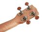 Preview: ukulele